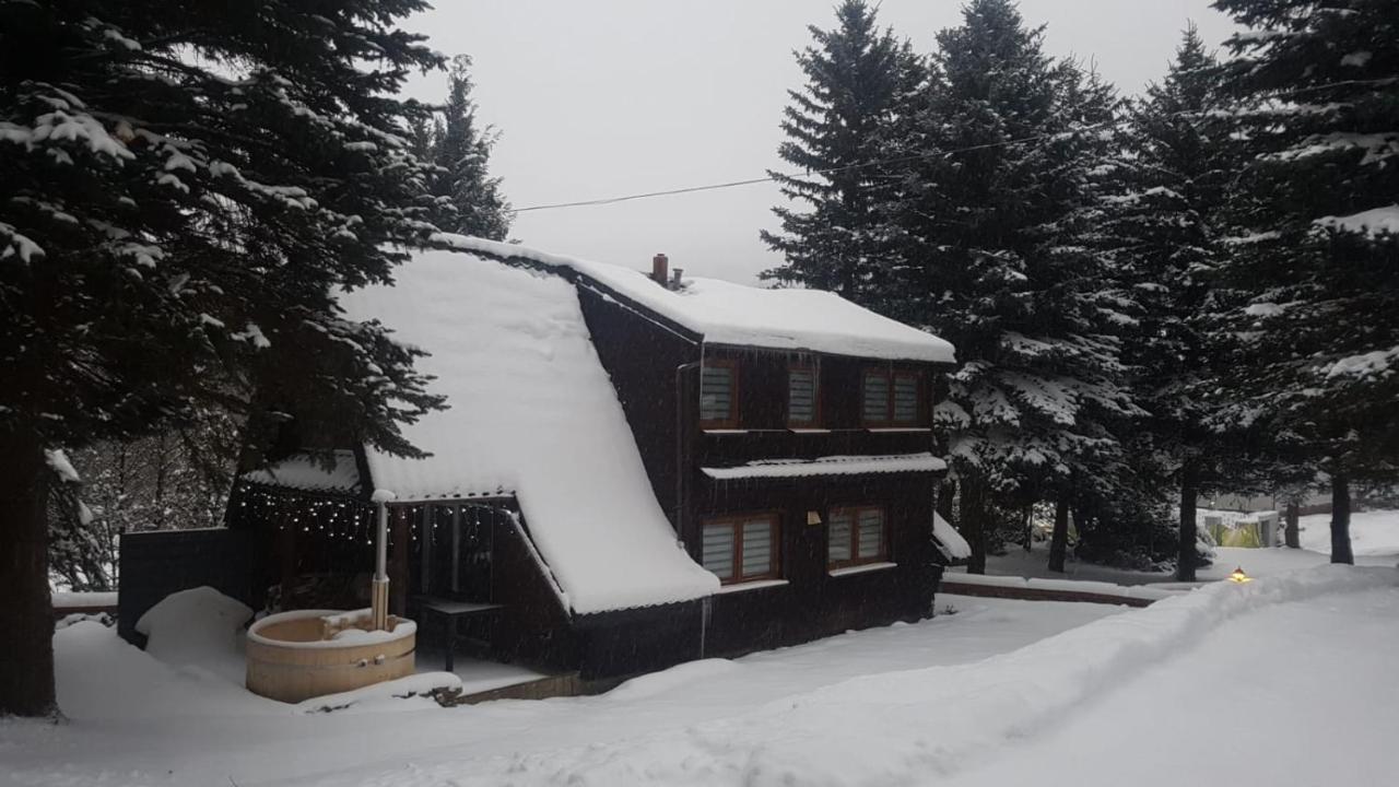 Oliwne Wzgorza Villa Stronie Śląskie Екстериор снимка