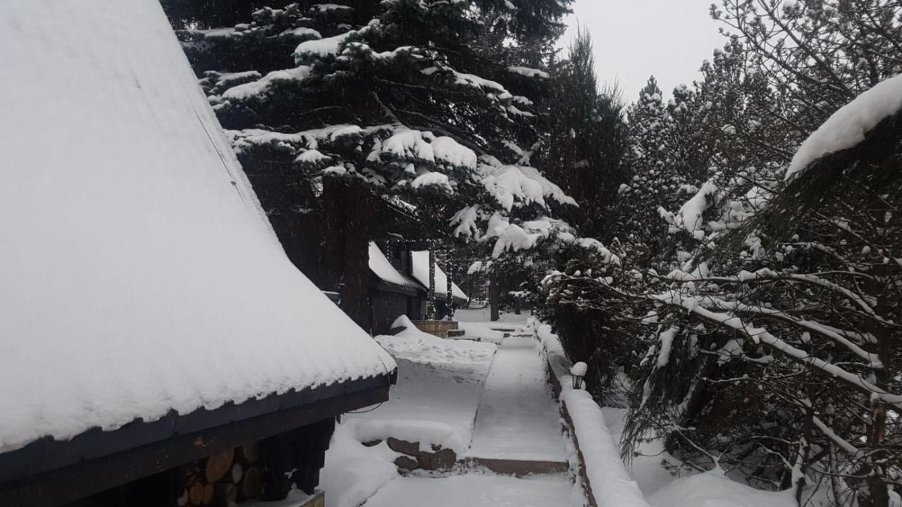 Oliwne Wzgorza Villa Stronie Śląskie Екстериор снимка
