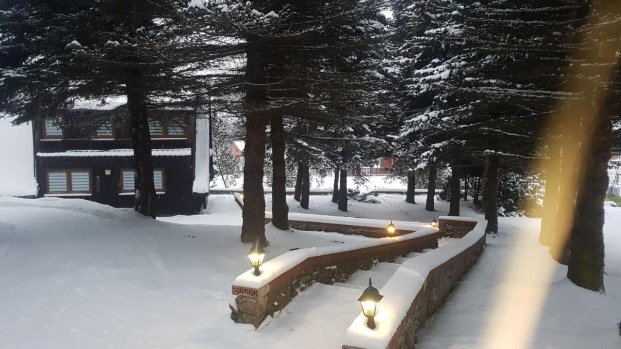 Oliwne Wzgorza Villa Stronie Śląskie Екстериор снимка